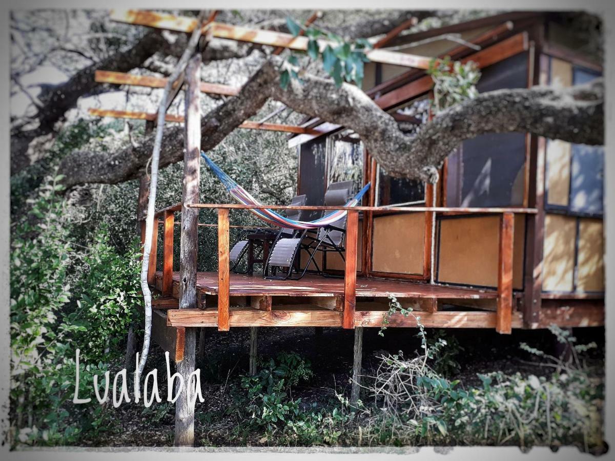Manguzi Chinderera Eco Lodge מראה חיצוני תמונה